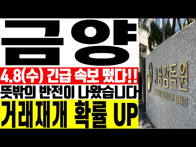 [금양 주가전망] ⚠️뜻밖의 반전이 나왔습니다 거래재개 확률 UP | 강산 #금양 #금양주가 #금양주가전망