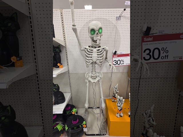 Target Halloween Skeleton