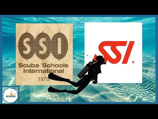 SSI-Geschichte: Vom Außenseiter zum Branchenriesen