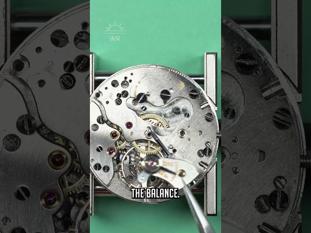 Zodiac Chronograph Summary