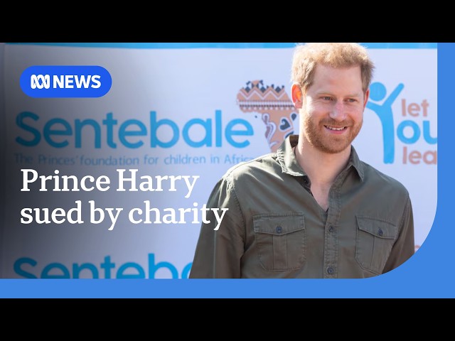 Prince Harry sued for defamation by charity he co-founded | ABC NEWS