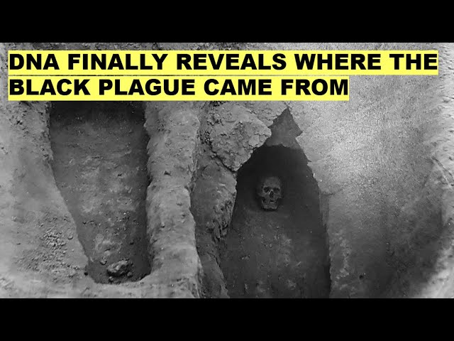 Ancient DNA Finally Reveals the REAL Origin of the Black Death