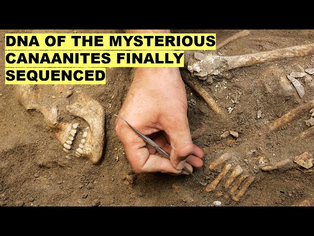 The Mystery of the Biblical Canaanites Finally Solved by Ancient DNA