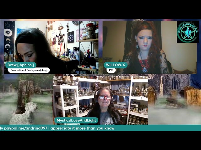 Premiere Paranormal entities we should be aware of That s non-human