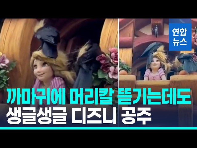 Crows on Rapunzel's hair... appearing to want to build a 'blonde nest' / Yonhap News