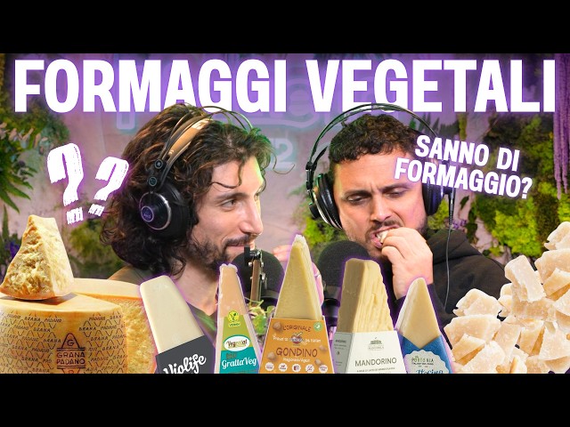 Aged Cheeses: Which Is Best? | Planet B12