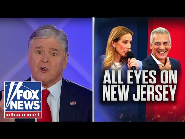 ‘DOWN TO THE WIRE’: Hannity says voter turnout could be the 'deciding factor' in this race