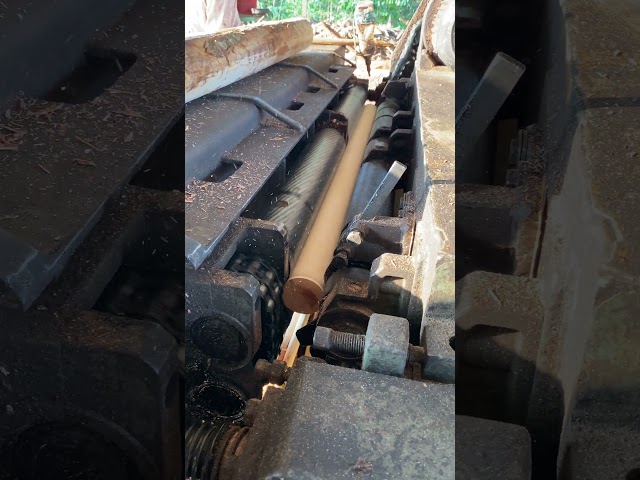 High Speed Wood Veneer Peeling Technology Explained part 544 #shortvideos #machine #viral