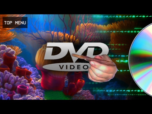 THIS IS DVD • [Ambient Jungle / DnB Mix]