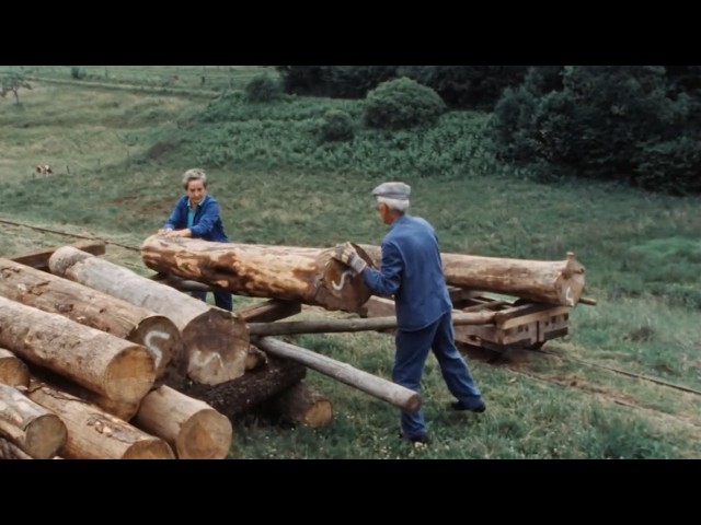 Historic Water Powered Sawmill in Operation (1968)