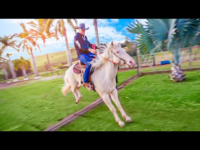 MEUUU CAVALO NOVO CHEGOU NA FAZENDA BLACK-STONE !!! 🐴🤠