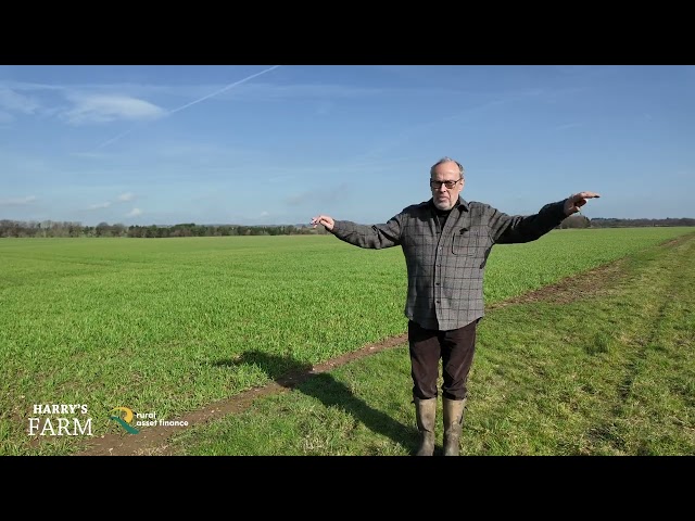 Government announces new SFI regs & it turns out planting trees isn't the answer to climate change