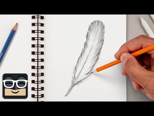 How to Draw a Realistic Feather | Step by Step Sketch Tutorial