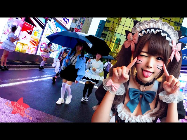Tokyo Akihabara🐶Rainy day♪💖4K non-stop 1 hour