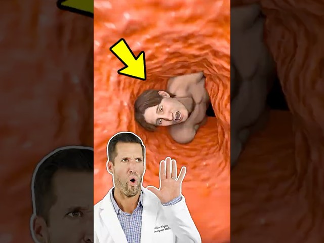 ER Doctor REACTS to Swallowed by a Sperm Whale (Zack D. Films)