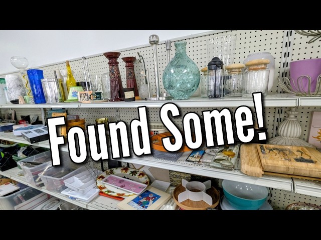 I Found Some at Goodwill Today! | Thrifting my Wish List Haul 2026