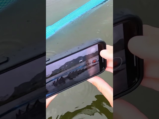 Watch us catch this monster^ 😮