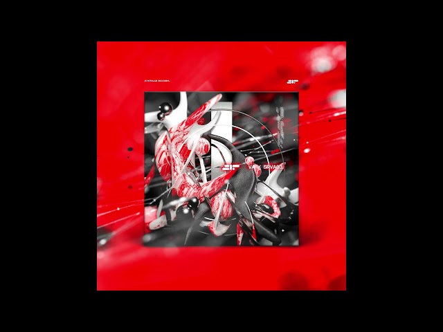 Daryn Steytler — Segment [SRVA03]