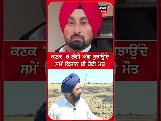 ਕਣਕ 'ਚ ਲੱਗੀ ਅੱਗ ਬੁੁਝਾਉਂਦੇ ਸਮੇਂ ਕਿਸਾਨ ਦੀ ਹੋਈ ਮੌਤ #shorts |N18S
