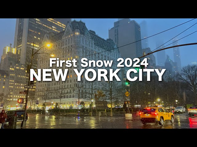 New York City LIVE Winter Storm Ember - Possible Snow Storm in New York City (January 6, 2024)