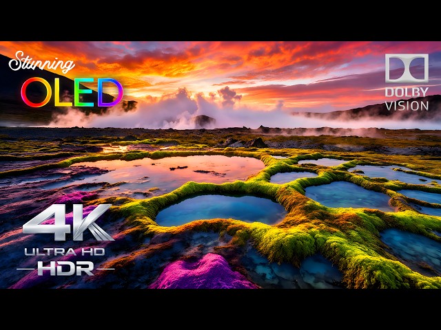 STUNNING 4K HDR 60FPS Dolby Vision | The Most Realistic OLED TV Test Ever (4K/8K Demo)