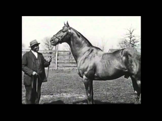 History of Riddle Hospital