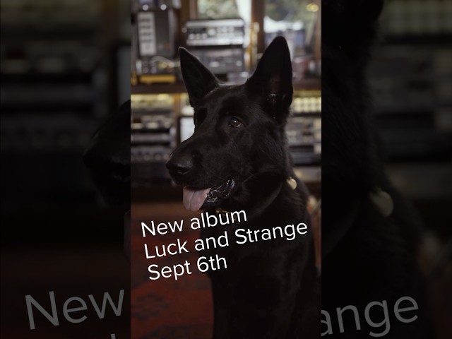 davidgilmour.com #LuckandStrange