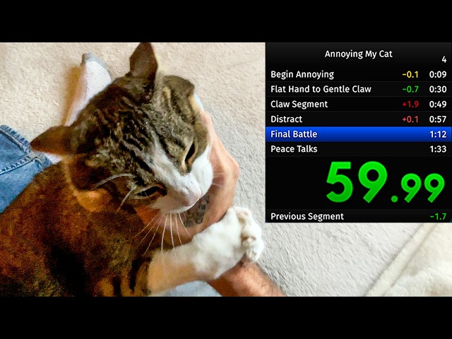 Annoying My Cat While Sitting In My Lap Speedrun (WR)