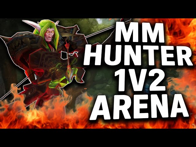MM HUNTER 1V2 ARENA. World of Warcraft