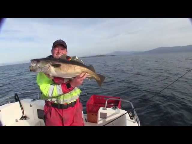 Robert kämpft mit einem Pollack im Tang