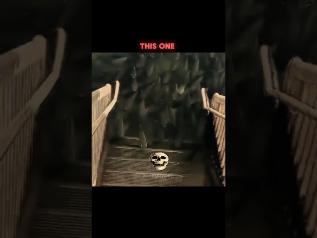 Other fish trick vs The last one #fishing #usa