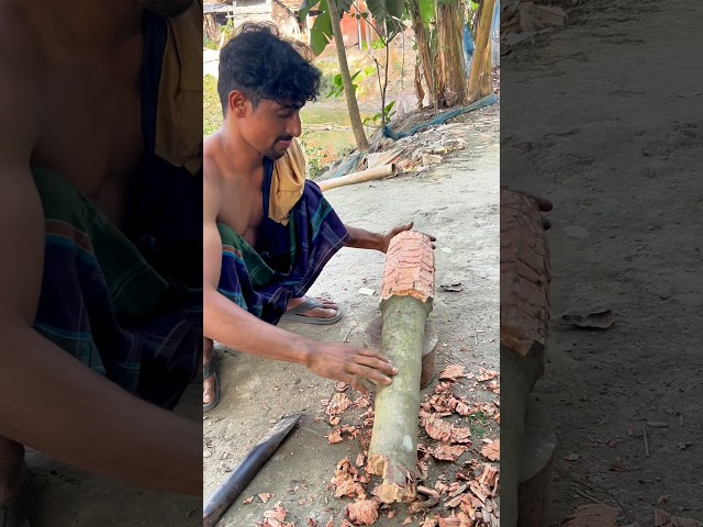 What skill did Haman make by wrapping the betel tree #foryou #making