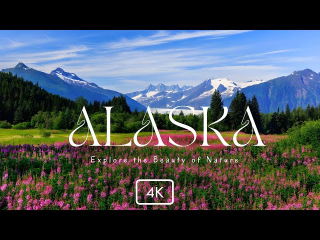 Explore Alaska 4K- Free Documentary Nature Film