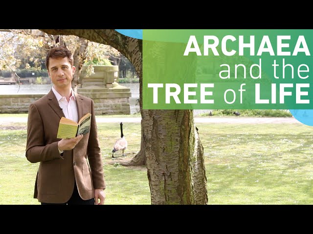 Archaea and the Tree of Life