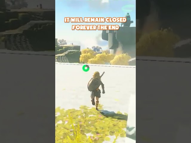 Arin's first ToTK death