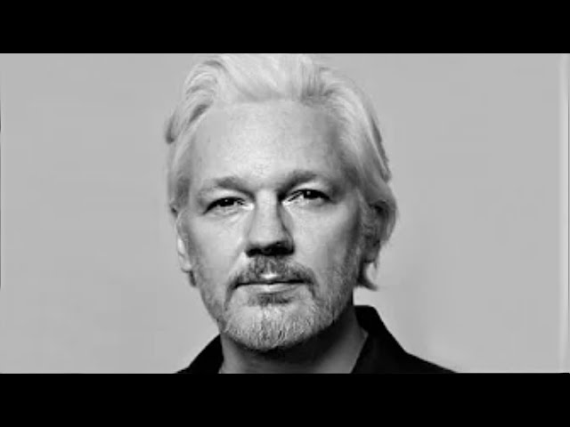Julian Assange Live at the Council of Europe
