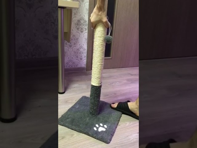 IMG 6737 online video cutter com