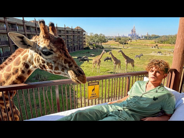 I Stayed in Every Hotel at Disney World