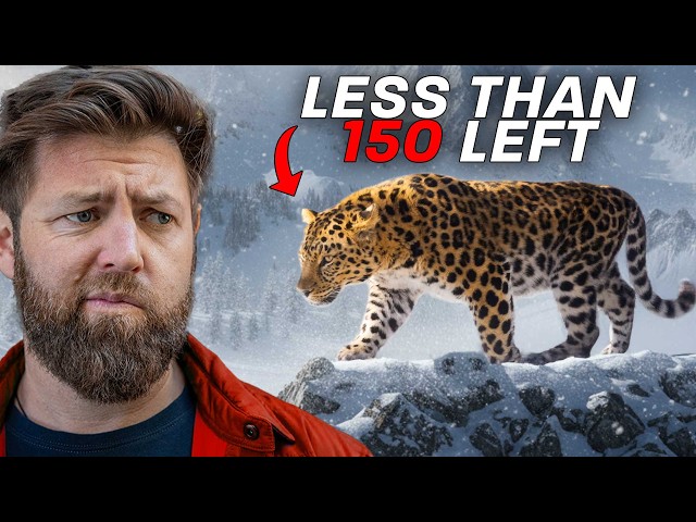 5 of the Rarest Animals on Earth