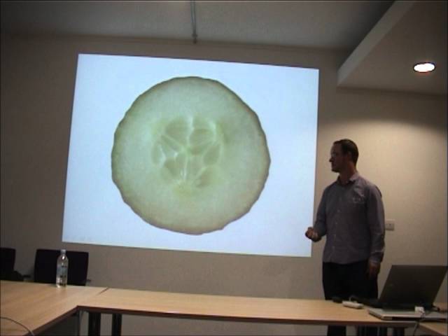 Agile20x20 - We want to be more Agile