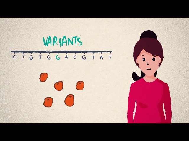 DNA, genes and genomes