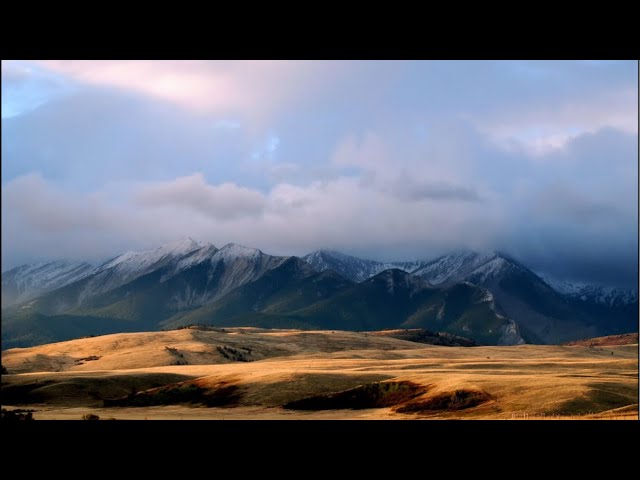 Cold front with showers overnight, active weather pattern ahead