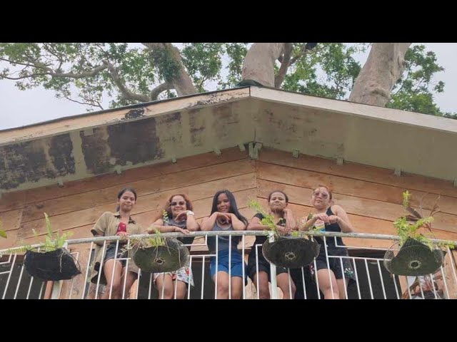 Family Swimming Tree Scape Resort. #bakasyon2025 