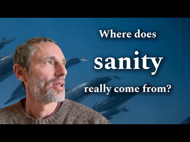 An Intelligence Beneath the Surface - Sanity Project 2026