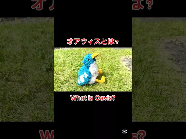 オアウィスとは？/ What is Oavis?