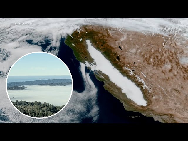 Why is it so cold? Here's how 'radiation fog' is contributing to the December chill