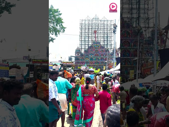 ஆஹோ! ஐய்யாகோ!! பொங்கலன்று மாரியம்மன் கோவில் | 4K Video.