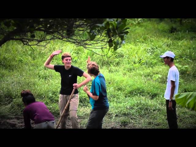 Planting and Playing