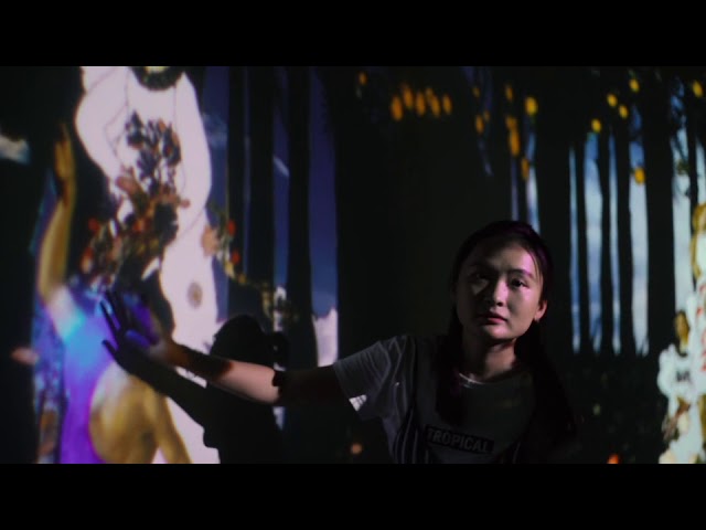 Interactive Renaissance Velite