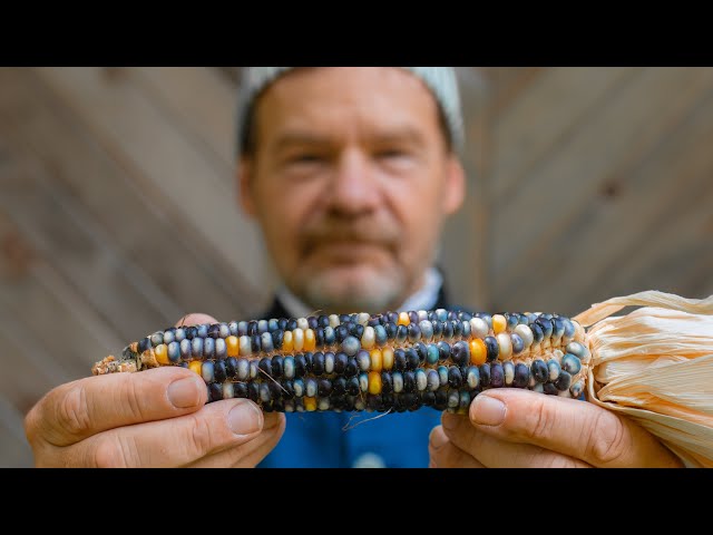 Corn: Treasure Of The Americas